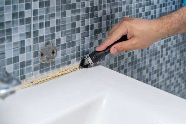 Best Residential Mold Removal  in Green, OH