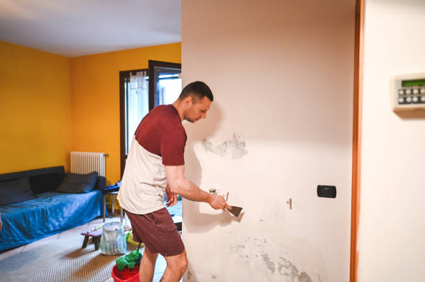 Best Office Mold Removal Services  in Green, OH
